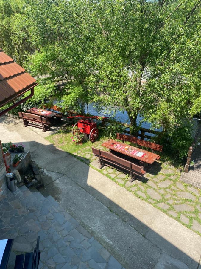 Pensiune Pastravarie La Pintea Haiducu Deseşti Exterior foto