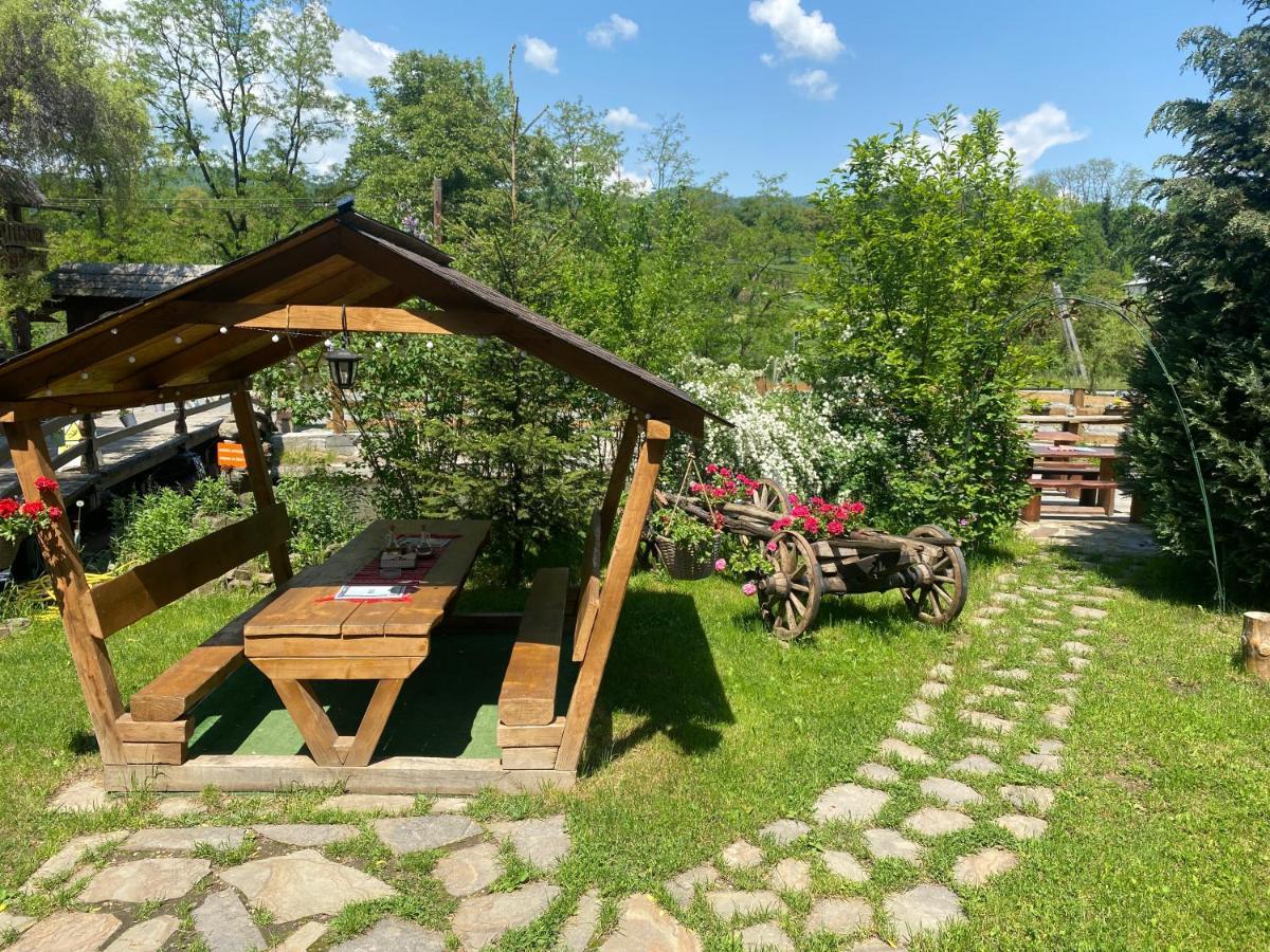 Pensiune Pastravarie La Pintea Haiducu Deseşti Exterior foto