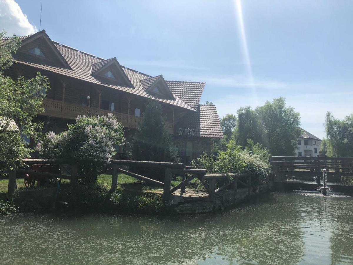 Pensiune Pastravarie La Pintea Haiducu Deseşti Exterior foto