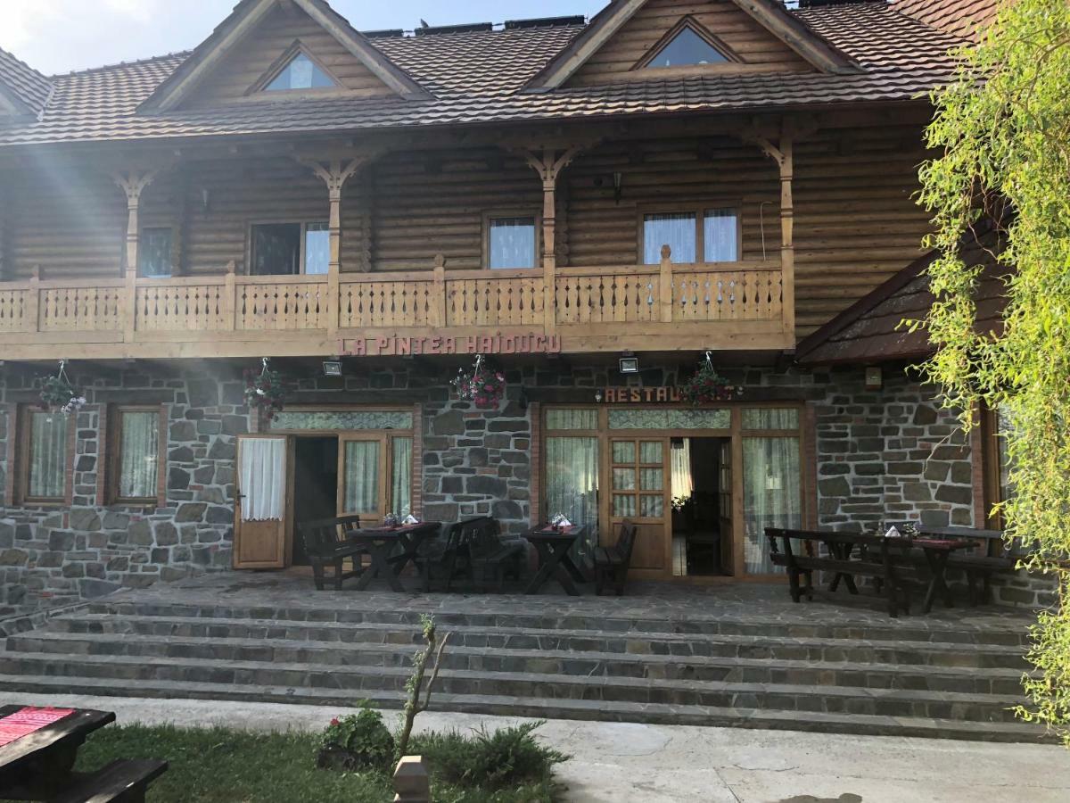 Pensiune Pastravarie La Pintea Haiducu Deseşti Exterior foto