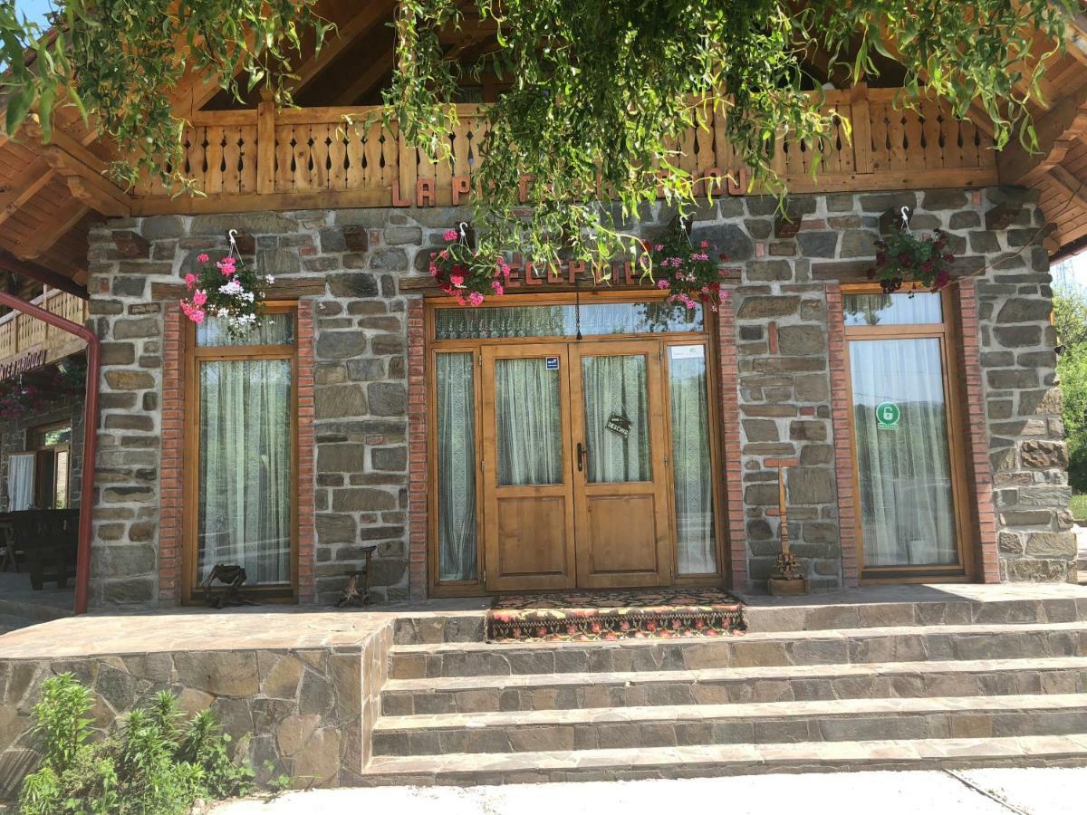Pensiune Pastravarie La Pintea Haiducu Deseşti Exterior foto